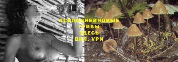 мескалин Арсеньев