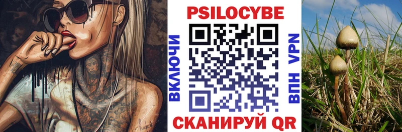 Псилоцибиновые грибы Psilocybe купить наркотики сайты Краснослободск